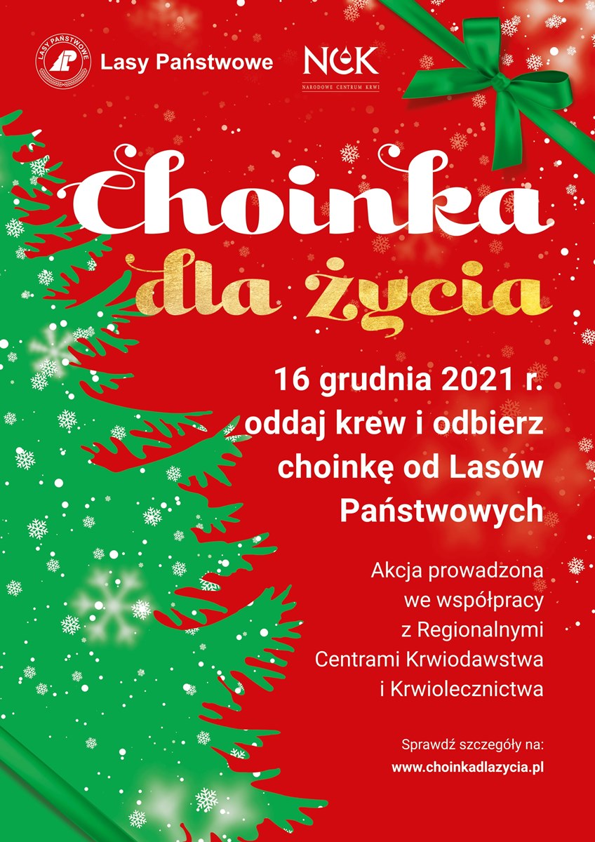 plakat choinka