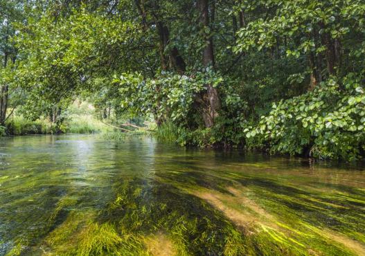AS-TOUR – Ekstremalne i Malownicze Spływy Kajakowe Rospuda