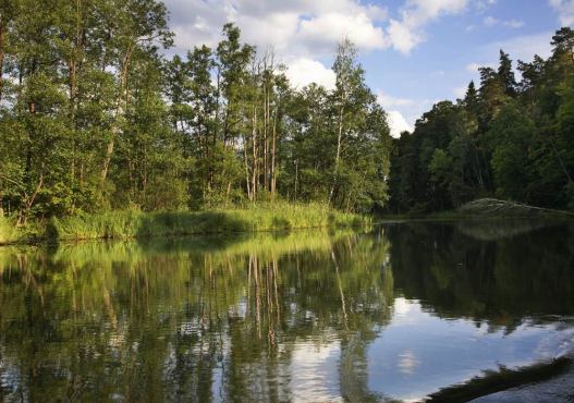 AS-TOUR – Ekstremalne i Malownicze Spływy Kajakowe Rospuda