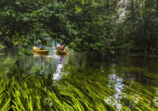 AS-TOUR – Ekstremalne i Malownicze Spływy Kajakowe Rospuda