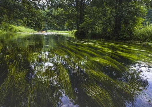 AS-TOUR – Ekstremalne i Malownicze Spływy Kajakowe Rospuda