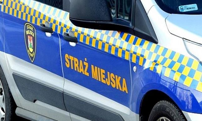 Straż Miejska apeluje o rozwagę i bezpieczeństwo Straż Miejska Suwałki, Zabezpieczenie domu przed włamaniami