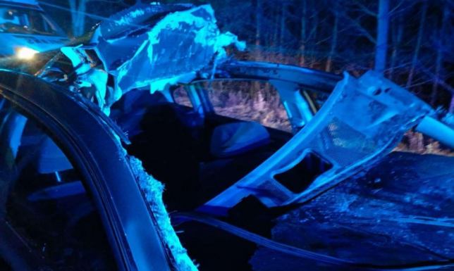 Zderzył się z łosiem