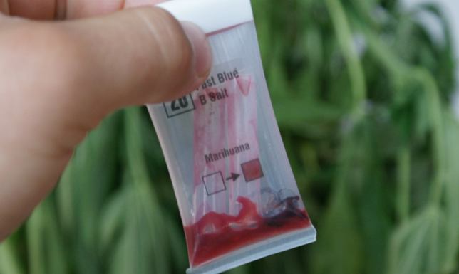 Zatrzymany poszukiwany z narkotykami i sądowym zakazem narkotest