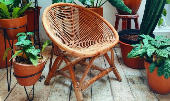 Dlaczego donice plastikowe są idealnym rozwiązaniem dla roślin?