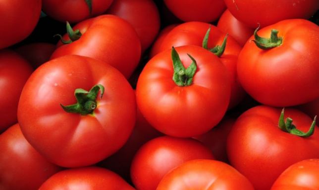 Pomidor Baron – idealna odmiana do uprawy pod osłonami, gwarancja zdrowych i obfitych plonów Pomidor Baron – idealna odmiana do uprawy pod osłonami, gwarancja zdrowych i obfitych plonów