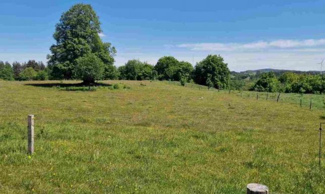 ATRAKCYJNE DZIAŁKI W MALESOWIŹNIE