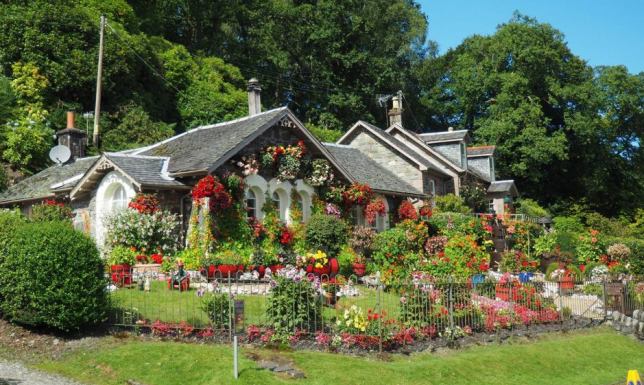 Starannie wypielęgnowany ogród przy jednym z domów na wsi