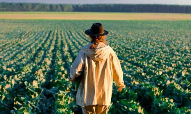 Myślisz o zakupie ziemi rolnej lub prowadzeniu gospodarstwa? Sprawdź, jak zostać rolnikiem i zdobyć wymagane kwalifikacje!