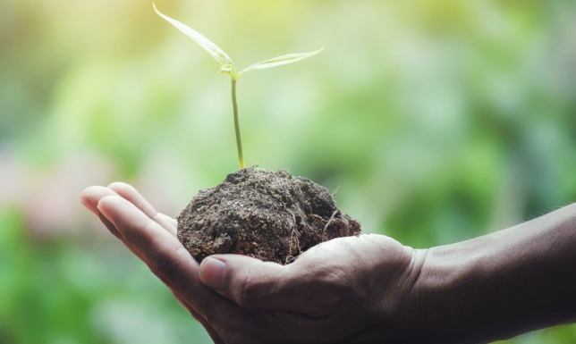 Noworoczne ekopostanowienia. Co warto zrobić, by ulżyć środowisku?