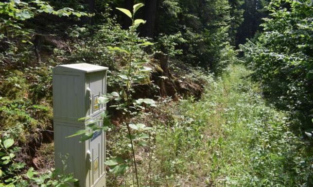 Sprzedam działkę w Puszczy Augustowskiej w obrębie Karolin