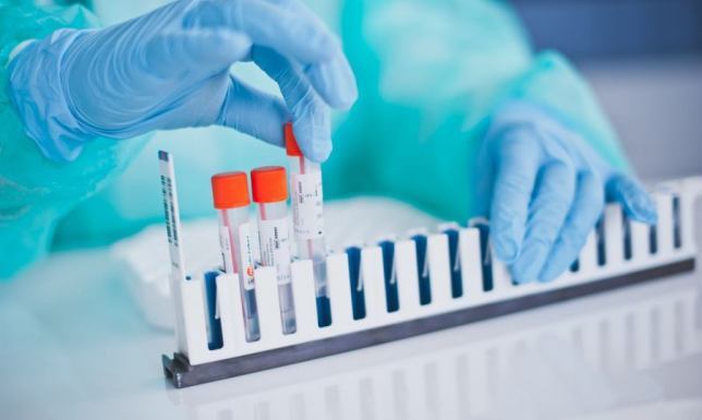 Bezpłatny program Profilaktyka 40 PLUS i borelioza.  Sprawdź jakie badania wykonasz bezpłatnie lub ze zniżką 50%