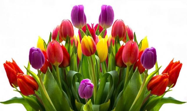 Z okazji Dnia Kobiet suwalki.info przesyła życzenia wszystkim kobietom!