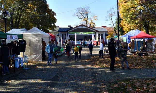 Miasteczko festiwalowe w Parku Konstytucji 3 Maja w Suwałkach
