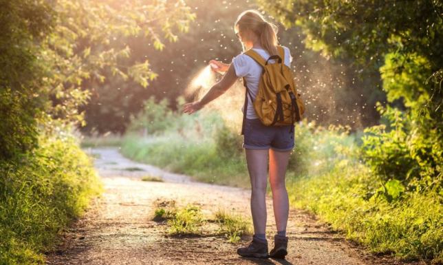 Borelioza – zmora lata