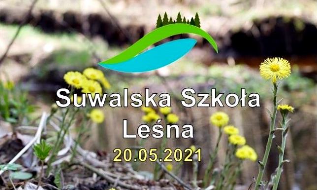 20 maja 2021 r. - Suwalska Szkoła Leśna