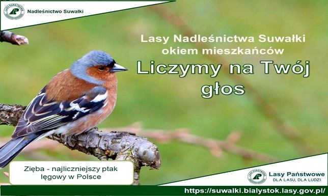 Nadleśnictwo Suwałki zaprasza mieszkańców do wzięcia udziału w ankiecie