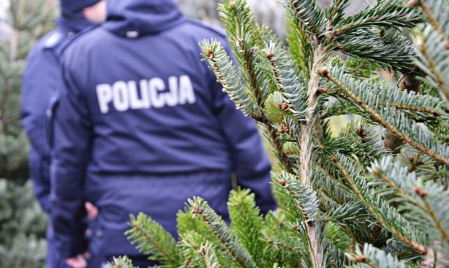 Suwalscy policjanci od kilku dni przeciwdziałają popełnianiu przestępstw