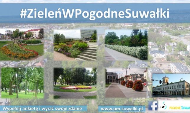 Ankieta na temat zieleni w Suwałkach