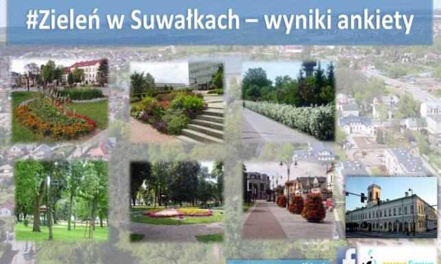 Co suwalczanie sądzą o miejskiej zieleni