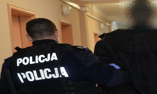 Areszt za kradzieże z włamaniem