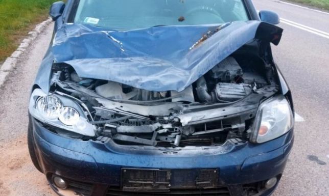 kierowca samochodu zderzył się z wybiegającym z łąki koniem