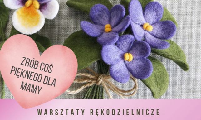 Strefa Odkrywania, Wyobraźni i Aktywności w Suwałkach zaprasza