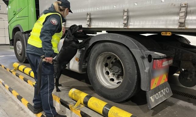  przemyt ponad 500 tysięcy paczek papierosów udaremniony w Budzisku