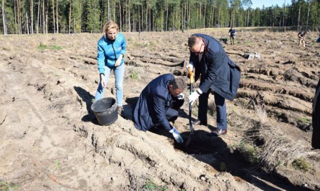 coroczna akcja sadzenia drzew firmy CAL