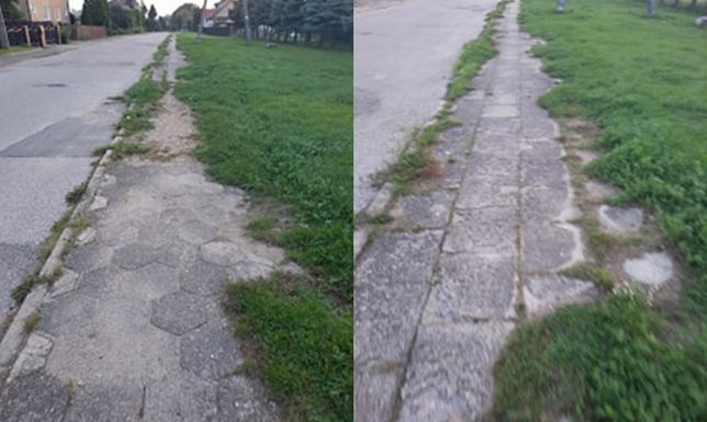 Mieszkańcy Pogodnej chcą naprawy chodnika  zarośnięty chodnik i brak reakcji ze strony służb miejskich