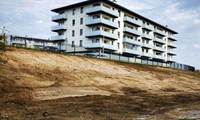 3000 sztuk traw, bylin oraz krzewów zostanie zasadzonych przy ul. Chopina