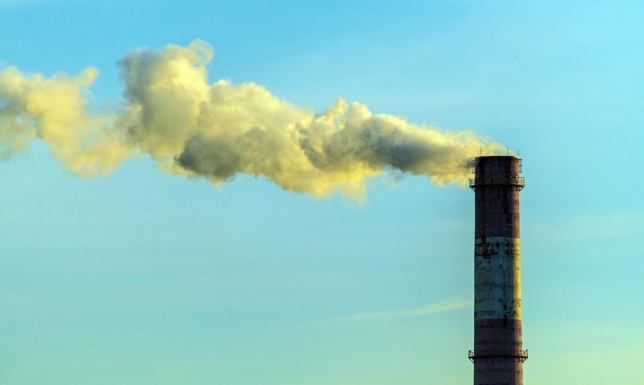 Anna Ruszewska, interpelacja w sprawie rządowego programu "Czyste Powietrze