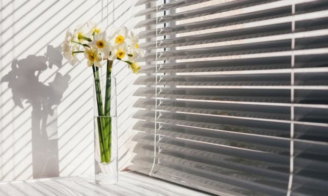 Czy rolety dzień noc dobrze zaciemniają?