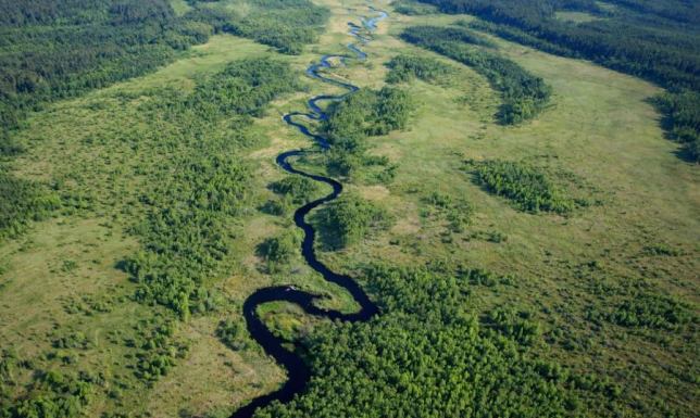 Rospuda: Ostatnia dzika rzeka Europy. Kompletny przewodnik po szlaku (przyroda, historia, kajaki)