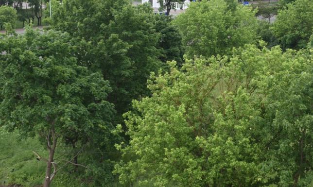 Zagospodarowanie istniejących terenów zielonych nad rzeką Czarna Hańcza