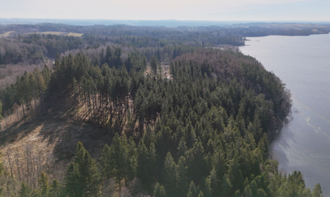 Petycja ws. wycinki drzew w Suwalskim Parku Krajobrazowym Żądamy zatrzymania wycinki w Suwalskim Parku Krajobrazowym