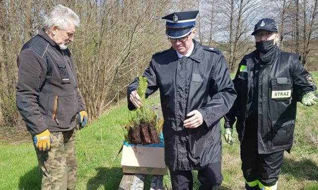 Drzewka posadzili w podsuwalskim Sobolewie druhowie Ochotniczej Straży Pożarnej