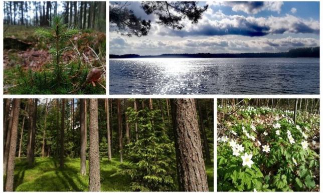 tegoroczny Dzień Ziemi w Wigierskim Parku Narodowym potrwa pięć dni