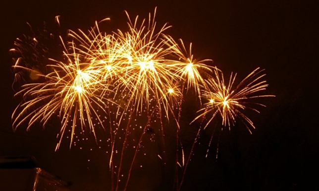 apel Polskich Parków Narodowych ws. Sylwestra