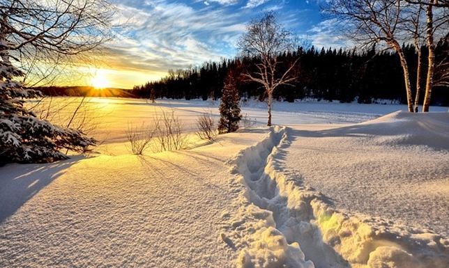 Jak zorganizować ferie zimowe w górach 2024?