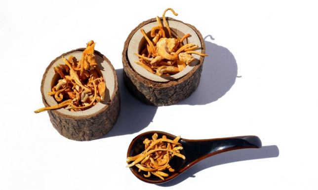 Kordyceps – energia i witalność na wyciągnięcie ręki Kordyceps – energia i witalność na wyciągnięcie ręki