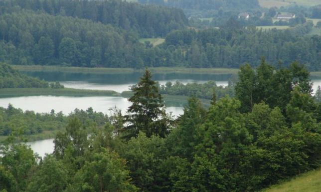 Piesza wycieczka "Od góry zamkowej do Turtula" piesza wycieczka