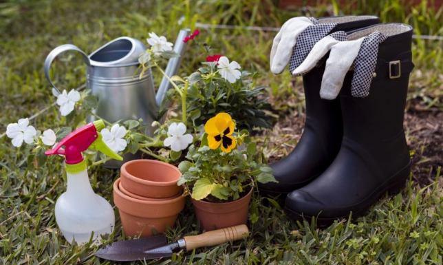 Wiosna 2025 u ogrodnika. Jak się przygotować?