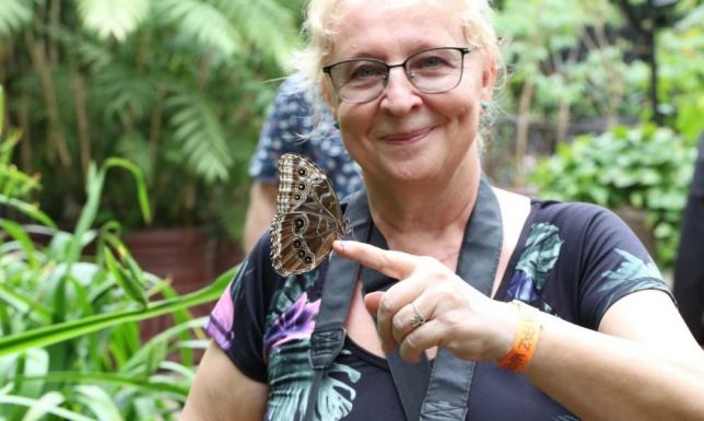 Gawędy o przyrodzie: „Świat motyli” O motylach będzie opowiadać dr Anna Krzysztofiak