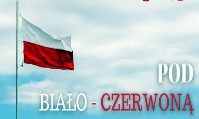 Głosowanie na flagi dla Suwałk