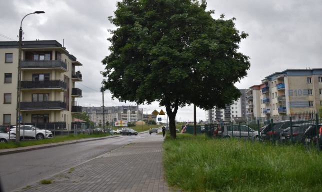 unieważniony został przetarg na rozbudowę ulicy Franciszkańskiej w Suwałkach