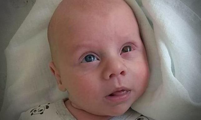 Kiermasz charytatywny dla Igorka z Jeleniewa w PUZ w Suwałkach