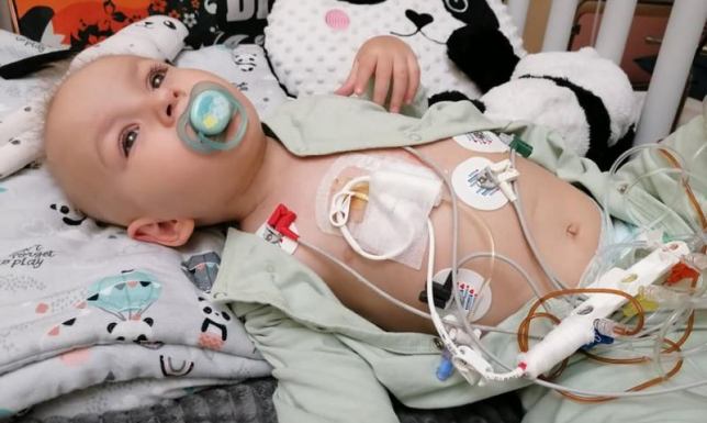 Suwalczanie włączyli się w pomoc Julkowi z Gołdapi Zbiórka na leczenie dwuletniego Julka z Gołdapi, walczącego z nowotworem złośliwym