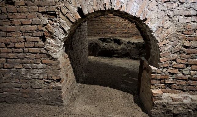 badania archeologiczne prowadzonych w piwnicach pod eremami w Wigrach