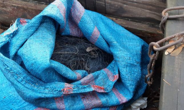 Kłusownicy złapani Sejny